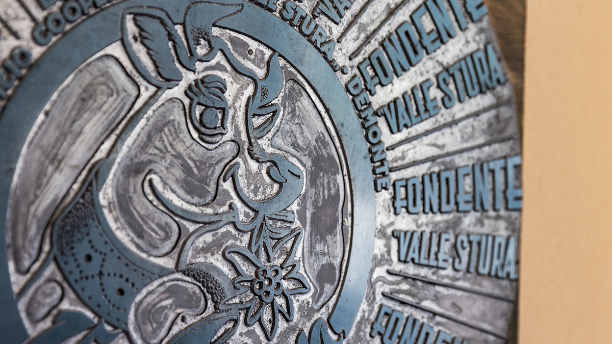 Particolare Mucca 546A2111